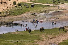 Image du Maroc Professionnelle de  Le barrage Oued El Makhazine, conçu pour le développement et  l'irrigation du périmètre du Loukkos. Ainsi les champs situés dans le triangle Ksar El Kébir, Larache, Moulay Bouselham profitent de cette infrastructure. Cette importante réalisation située sur El Oued Loukkos sert à la régularisation inter annuelle des débits tout en formant une protection contre les crues, au Jeudi 1er Septembre 2005 à cette datte le barrage dispose 309 Million de M3. (Photo / Abdeljalil Bounhar) 